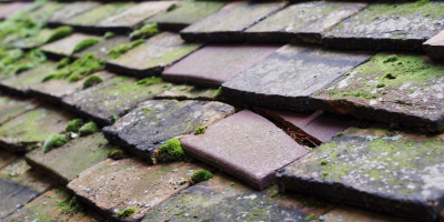 Hauxton roof repair costs